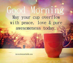 Meet your Posher, Wendy